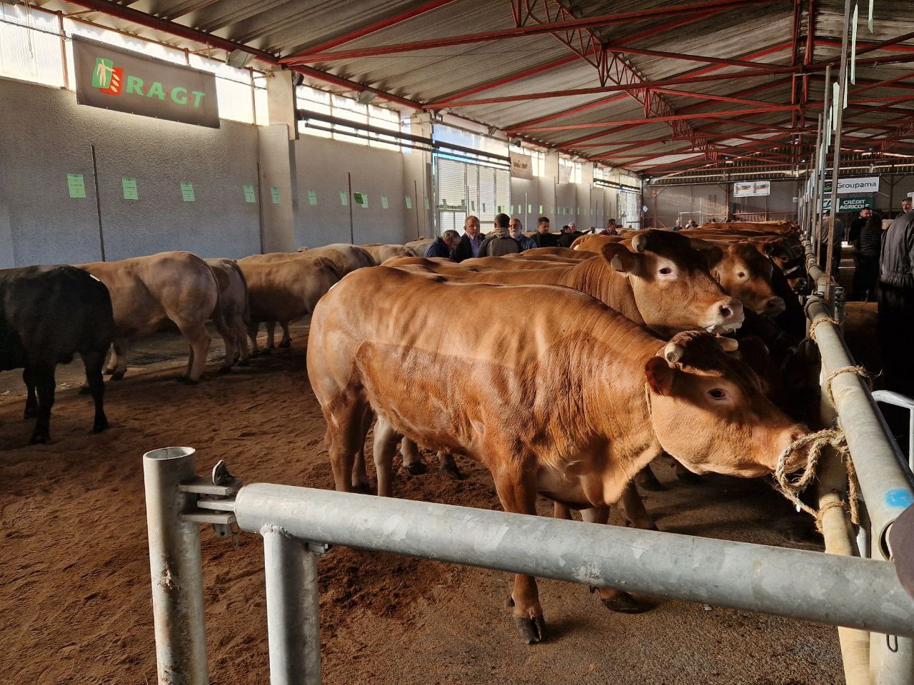 Lire la suite à propos de l’article La Loi Agricole du gouvernement ne répond pas aux besoins de l’agriculture aveyronnaise